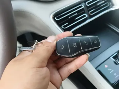 BYD PLUS New Energy