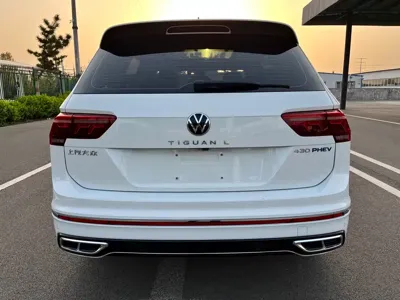 Volkswagen Tiguan L New Energy
