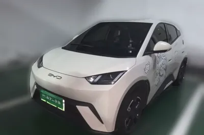 BYD Seagull