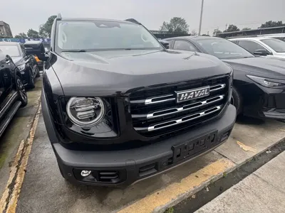 Haval Big Dog