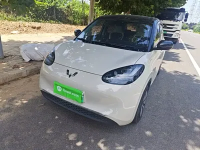 Wuling Bingo