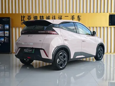 BYD Seagull