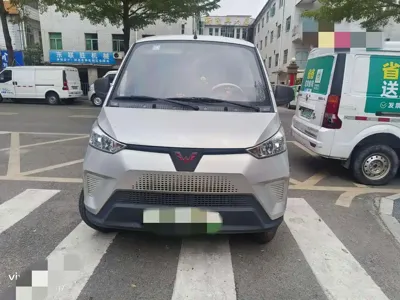 Wuling Wuling EV50