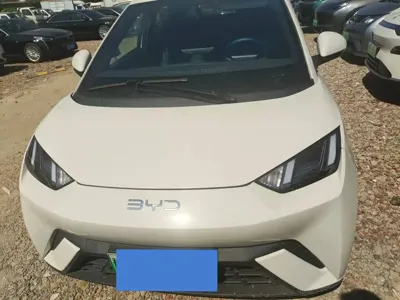 BYD Seagull