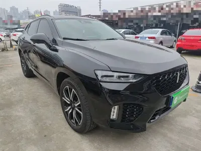WEY Wey VV7