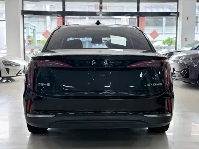Hongqi Hongqi E-QM5