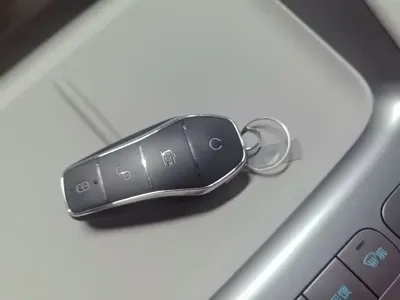 BYD 海狮06