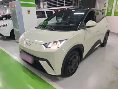 BYD Seagull