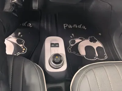 Galaxy Panda