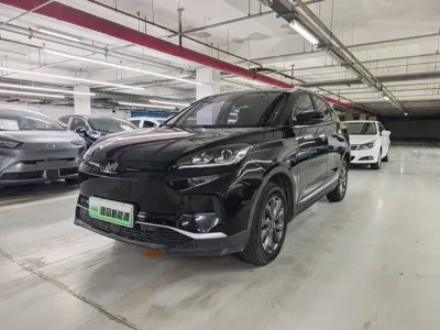 WM Motor EX5