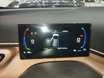 BYD Seagull