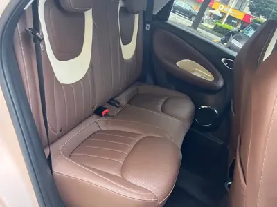 Wuling Bingo