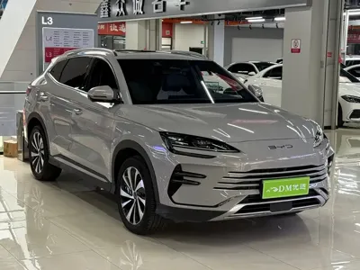 BYD PLUS New Energy