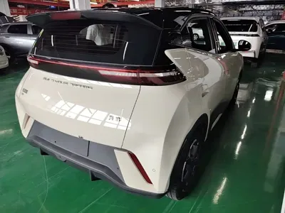 BYD Seagull
