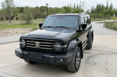 Tank 300