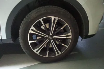 WEY VV6