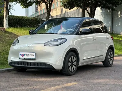 Wuling Bingo