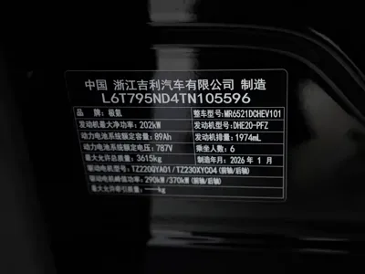 Zeekr 极氪9X