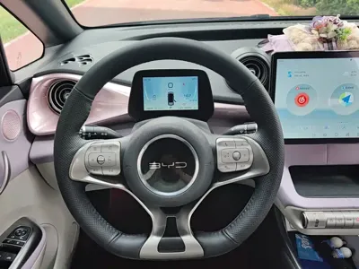 BYD Dolphin