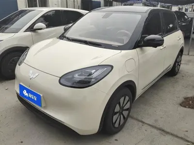 Wuling Bingo