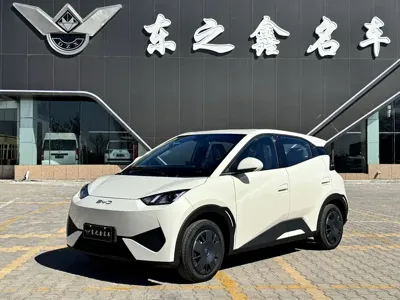 BYD Seagull
