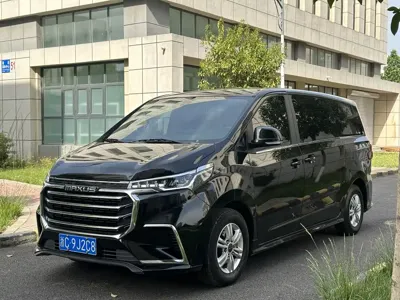 大通 G20