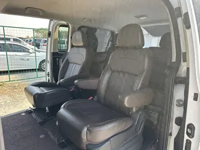Fengxing Lingzhi PLUS