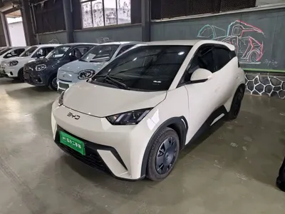 BYD Seagull