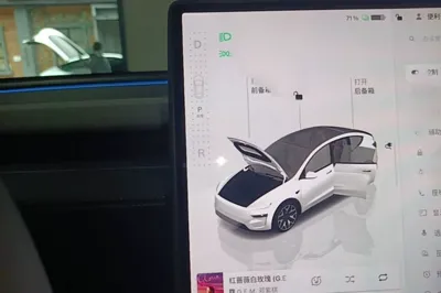 Tesla Model Y L