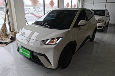 BYD Seagull