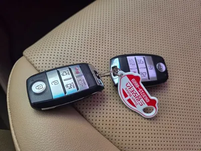 Kia Canival