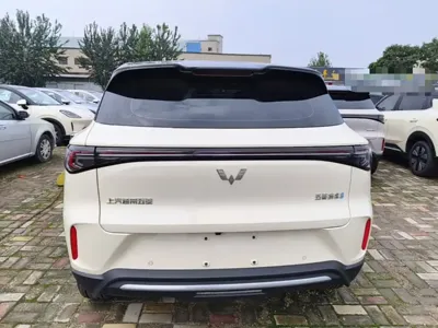 Wuling 缤果S