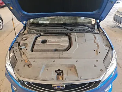 Geely Binrui
