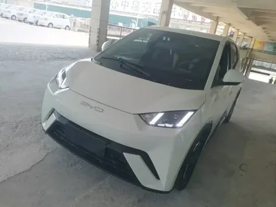 BYD Seagull