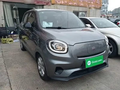 Leapmotor Leapmotor T03