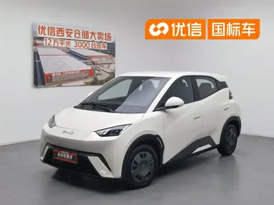 BYD Seagull