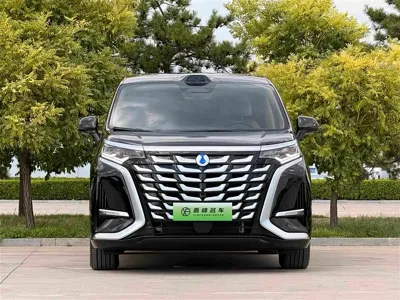 Denza Denza D9
