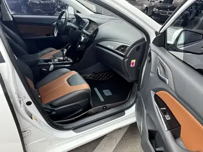 BYD Qin NEV