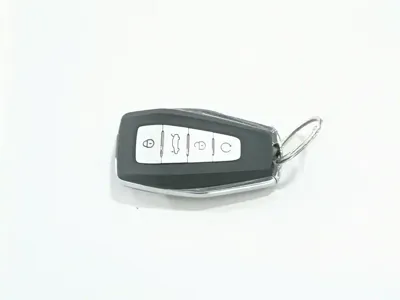 Geely Borui Hybrid