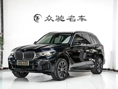 BMW X5 New Energy (Import)