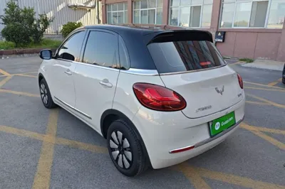 Wuling Bingo