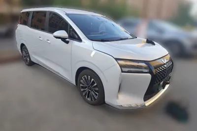 Wuling Wuling Starlight 730
