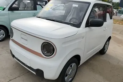 Geely Galaxy Panda