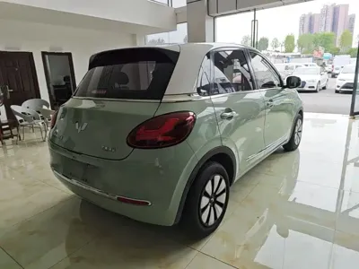 Wuling Bingo