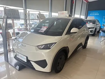 BYD Seagull