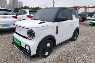 Geely Galaxy Panda