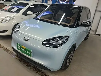 Wuling Bingo