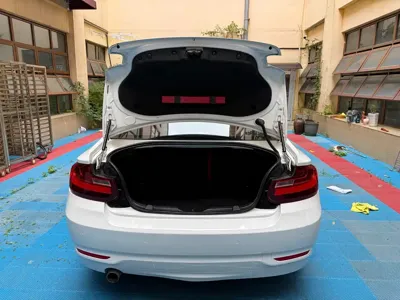 BMW 2 Series (Import)