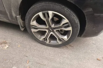 WEY VV7
