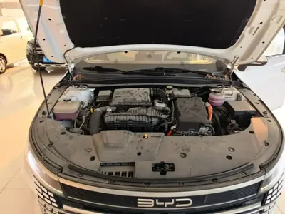 BYD Destroyer 05